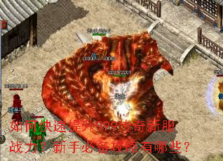 如何快速提升999传奇新服战力?新手必备攻略有哪些? 如何快速提升999传奇新服战力?新手必备攻略有哪些?