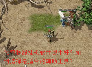 传奇私服挂机软件哪个好?如何选择最适合的辅助工具? 传奇私服挂机软件哪个好?如何选择最适合的辅助工具?