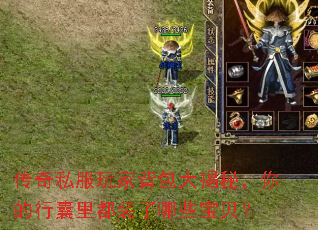 传奇私服玩家背包大揭秘,你的行囊里都装了哪些宝贝? 传奇私服玩家背包大揭秘,你的行囊里都装了哪些宝贝?