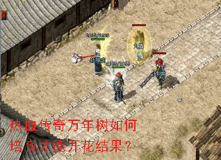 热血传奇万年树如何培育才能开花结果? 热血传奇万年树如何培育才能开花结果?