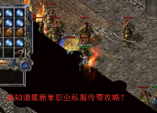 谁知道最新单职业私服传奇攻略? 谁知道最新单职业私服传奇攻略?