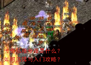 传奇私服专服是什么?如何选择与入门攻略? 传奇私服专服是什么?如何选择与入门攻略?