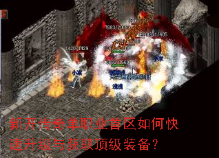�¿����浥ְҵ������ο����������ȡ����װ����