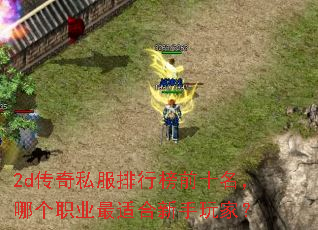 2d传奇私服排行榜前十名,哪个职业最适合新手玩家? 2d传奇私服排行榜前十名,哪个职业最适合新手玩家?