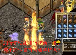 2d传奇私服排行榜前十名,哪个职业最适合新手玩家? 2d传奇私服排行榜前十名,哪个职业最适合新手玩家?