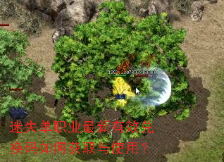 迷失单职业最新有效兑换码如何获取与使用? 迷失单职业最新有效兑换码如何获取与使用?
