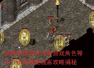 如何快速提升传奇游戏角色等级?小莫骚麦独家攻略揭秘 如何快速提升传奇游戏角色等级?小莫骚麦独家攻略揭秘