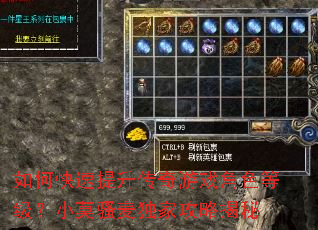 如何快速提升传奇游戏角色等级?小莫骚麦独家攻略揭秘 如何快速提升传奇游戏角色等级?小莫骚麦独家攻略揭秘