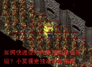 如何快速提升传奇游戏角色等级?小莫骚麦独家攻略揭秘 如何快速提升传奇游戏角色等级?小莫骚麦独家攻略揭秘
