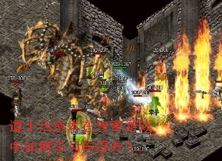 道士治愈术在传奇游戏中如何学习与提升? 道士治愈术在传奇游戏中如何学习与提升?