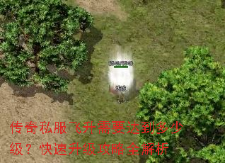 传奇私服飞升需要达到多少级?快速升级攻略全解析 传奇私服飞升需要达到多少级?快速升级攻略全解析
