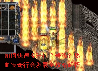 如何快速提升行会等级?热血传奇行会发展全攻略解析 如何快速提升行会等级?热血传奇行会发展全攻略解析