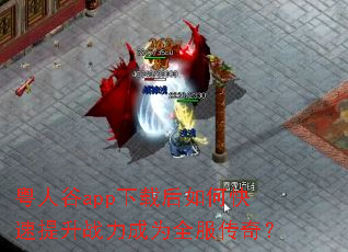 粤人谷app下载后如何快速提升战力成为全服传奇? 粤人谷app下载后如何快速提升战力成为全服传奇?