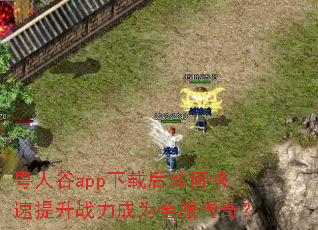 粤人谷app下载后如何快速提升战力成为全服传奇? 粤人谷app下载后如何快速提升战力成为全服传奇?