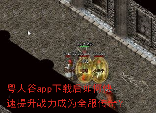 粤人谷app下载后如何快速提升战力成为全服传奇? 粤人谷app下载后如何快速提升战力成为全服传奇?