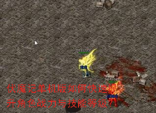 伏魔记单机版如何快速提升角色战力与技能等级? 伏魔记单机版如何快速提升角色战力与技能等级?
