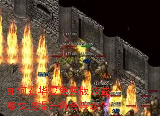 如何在华夏免费版公益服快速提升角色等级? 如何在华夏免费版公益服快速提升角色等级?