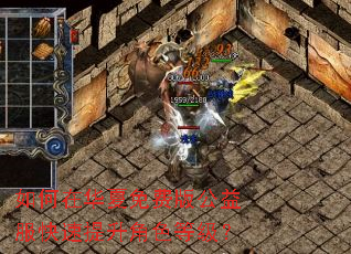 如何在华夏免费版公益服快速提升角色等级? 如何在华夏免费版公益服快速提升角色等级?