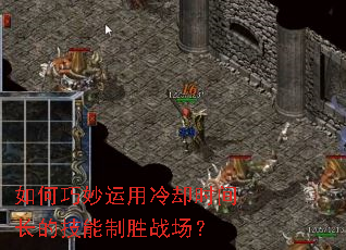如何巧妙运用冷却时间长的技能制胜战场? 如何巧妙运用冷却时间长的技能制胜战场?
