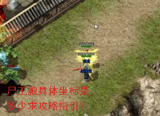 尸王殿具体坐标是多少求攻略指引? 尸王殿具体坐标是多少求攻略指引?