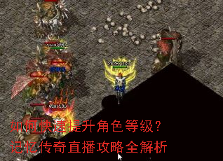 如何快速提升角色等级?记忆传奇直播攻略全解析 如何快速提升角色等级?记忆传奇直播攻略全解析