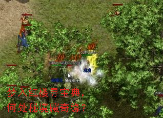 梦入红楼寻宝典,何处秘境藏奇缘? 梦入红楼寻宝典,何处秘境藏奇缘?