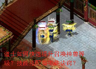 道士如何快速提升召唤神兽等级?技能搭配有哪些诀窍? 道士如何快速提升召唤神兽等级?技能搭配有哪些诀窍?