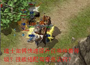 道士如何快速提升召唤神兽等级?技能搭配有哪些诀窍? 道士如何快速提升召唤神兽等级?技能搭配有哪些诀窍?