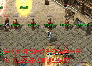 道士如何快速提升召唤神兽等级?技能搭配有哪些诀窍? 道士如何快速提升召唤神兽等级?技能搭配有哪些诀窍?