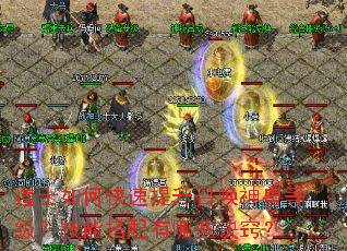 道士如何快速提升召唤神兽等级?技能搭配有哪些诀窍? 道士如何快速提升召唤神兽等级?技能搭配有哪些诀窍?