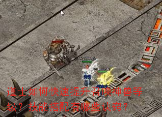 道士如何快速提升召唤神兽等级?技能搭配有哪些诀窍? 道士如何快速提升召唤神兽等级?技能搭配有哪些诀窍?