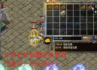 如何在梦幻国度服务器快速提升角色等级? 如何在梦幻国度服务器快速提升角色等级?