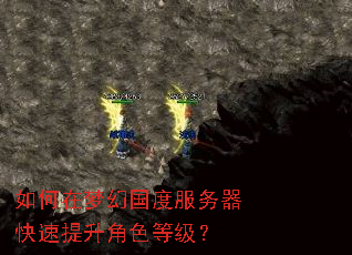 如何在梦幻国度服务器快速提升角色等级? 如何在梦幻国度服务器快速提升角色等级?