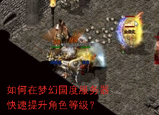 如何在梦幻国度服务器快速提升角色等级? 如何在梦幻国度服务器快速提升角色等级?