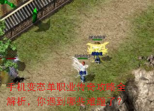 手机变态单职业传奇攻略全解析,你遇到哪些难题了? 手机变态单职业传奇攻略全解析,你遇到哪些难题了?