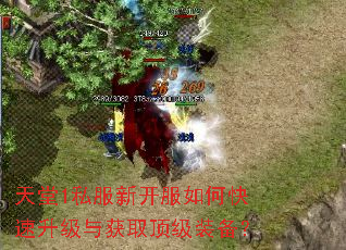 天堂1私服新开服如何快速升级与获取顶级装备? 天堂1私服新开服如何快速升级与获取顶级装备?