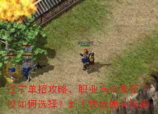 辽宁单招攻略,职业高中单招学校如何选择?新手快速通关指南 辽宁单招攻略,职业高中单招学校如何选择?新手快速通关指南