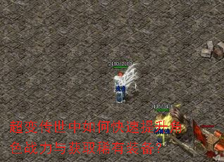 超变传世中如何快速提升角色战力与获取稀有装备? 超变传世中如何快速提升角色战力与获取稀有装备?