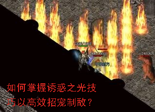 如何掌握诱惑之光技巧以高效招宠制敌? 如何掌握诱惑之光技巧以高效招宠制敌?