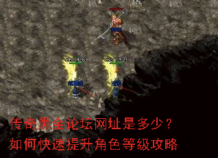 传奇黑金论坛网址是多少?如何快速提升角色等级攻略 传奇黑金论坛网址是多少?如何快速提升角色等级攻略