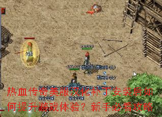热血传奇美服汉化补丁安装后如何提升游戏体验?新手必看攻略 热血传奇美服汉化补丁安装后如何提升游戏体验?新手必看攻略