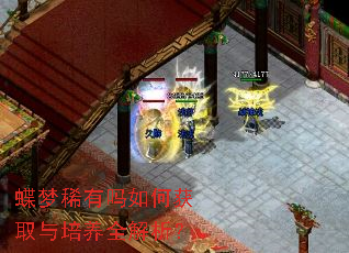 蝶梦稀有吗如何获取与培养全解析? 蝶梦稀有吗如何获取与培养全解析?