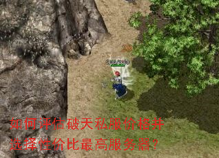 如何评估破天私服价格并选择性价比最高服务器? 如何评估破天私服价格并选择性价比最高服务器?