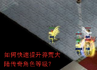 如何快速提升莽荒大陆传奇角色等级? 如何快速提升莽荒大陆传奇角色等级?