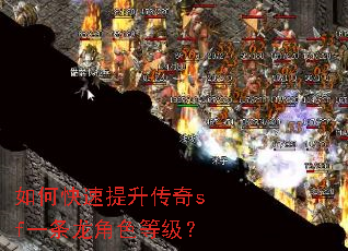 如何快速提升传奇sf一条龙角色等级? 如何快速提升传奇sf一条龙角色等级?