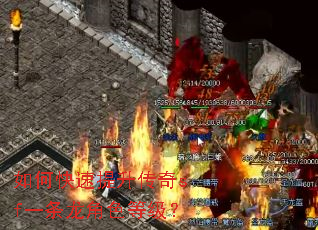 如何快速提升传奇sf一条龙角色等级? 如何快速提升传奇sf一条龙角色等级?