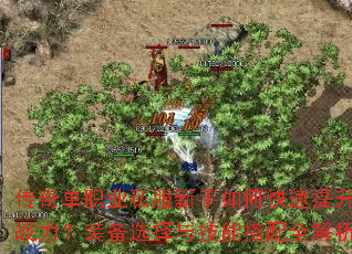 传奇单职业私服新手如何快速提升战力?装备选择与技能搭配全解析 传奇单职业私服新手如何快速提升战力?装备选择与技能搭配全解析